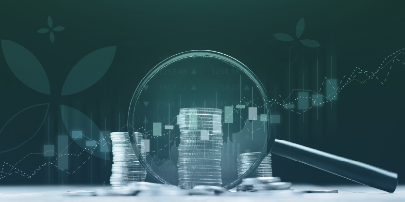 تطهير الأسهم